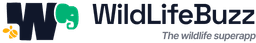 WildLifeBuzz Logo