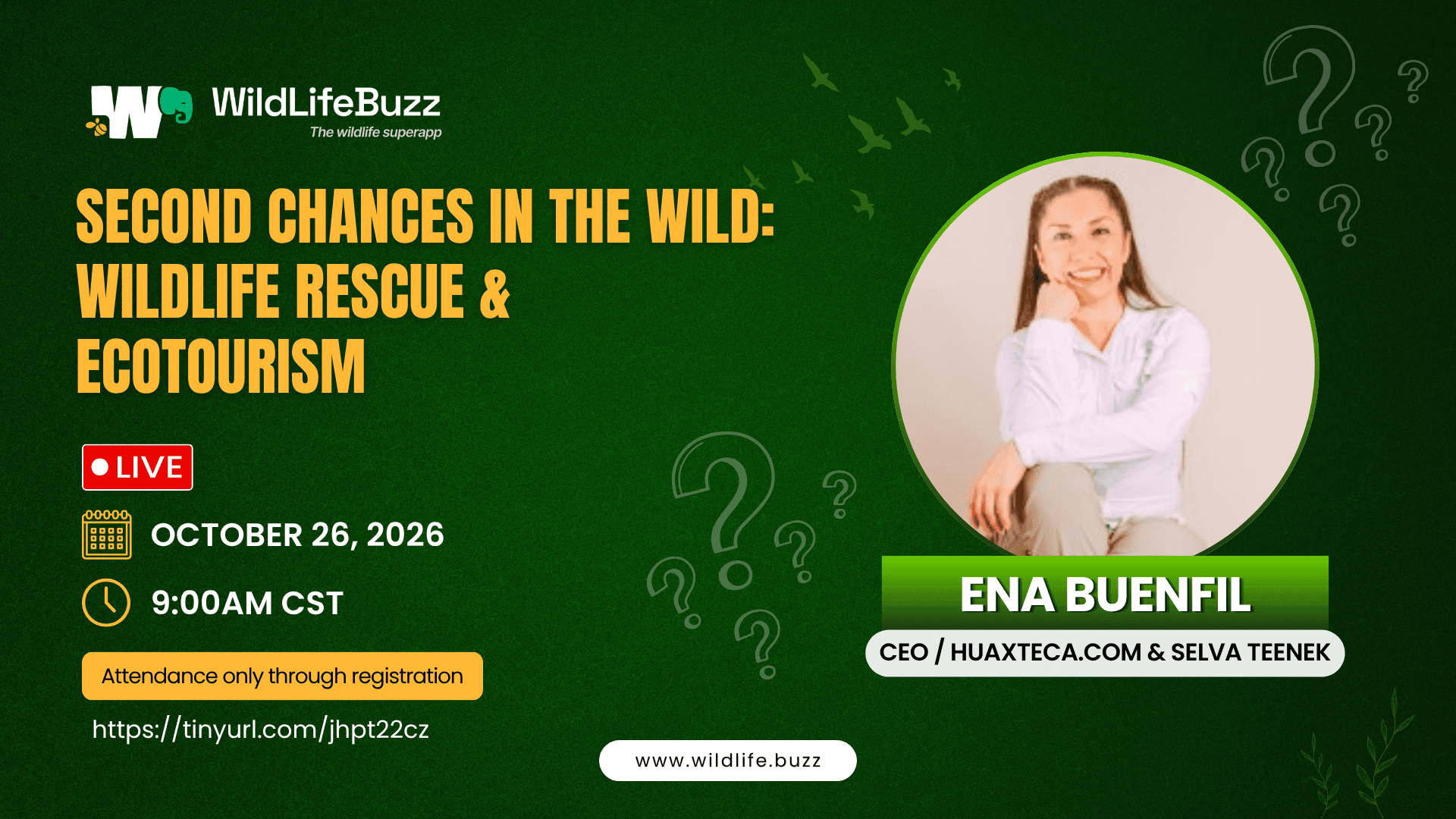 Second Chances in the Wild: Wildlife Rescue & Ecotourism