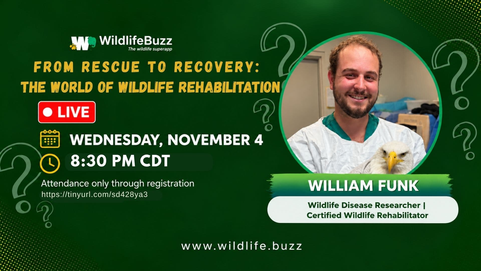 From Rescue to Recovery: The World of Wildlife Rehabilitation