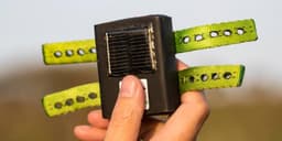 SpoorTrack Iridium Satellite Tail-Tag Trackers logo