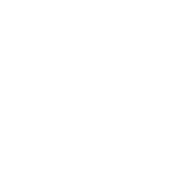 SMART logo